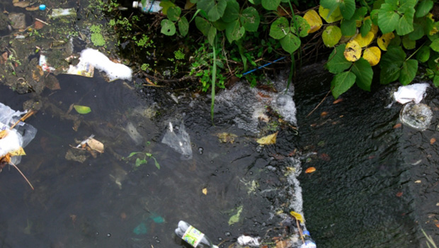 ゴミがたくさん浮いて水質の悪い池の写真